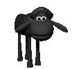Cute animal